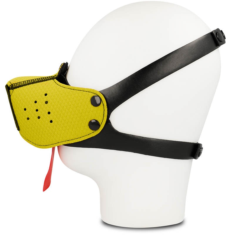 AÇAIME DE CÃO OHMAMA - AMARELO